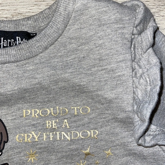EUC Wizarding World of Harry Potter Grey Sweatshirt - Picture 3 of 6